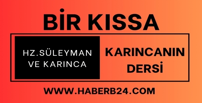 Hz Süleyman Ve Karınca