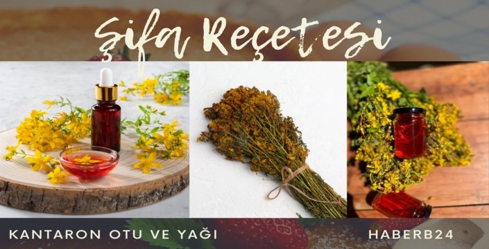 Kantaron Otu Ve Yağı Faydaları